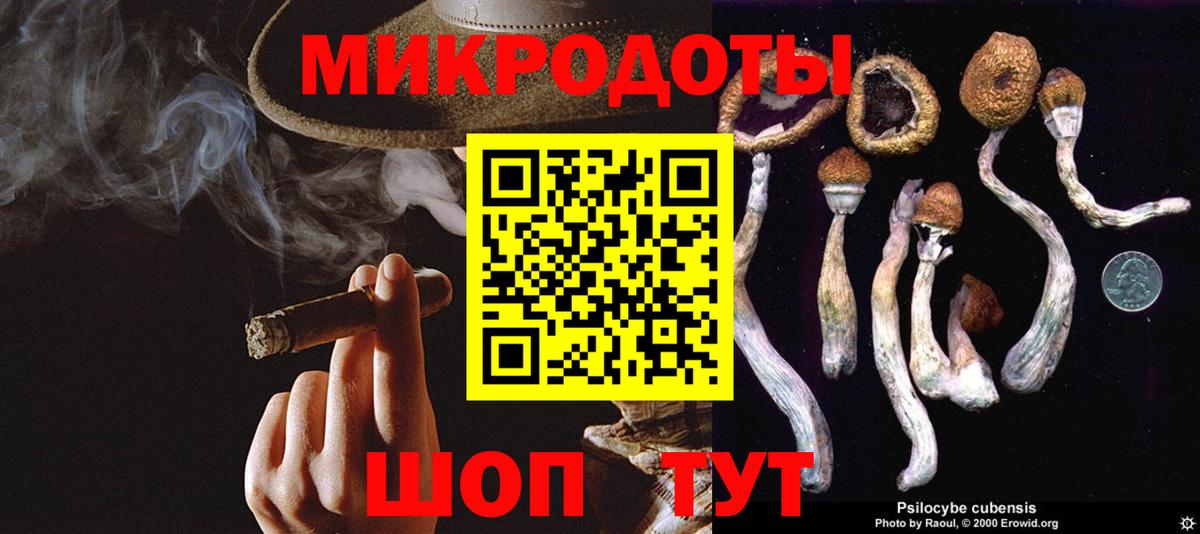 Славгород  Псилоцибиновые грибы ЛСД  Псилоцибиновые грибы мицелий  Вход с VPN 